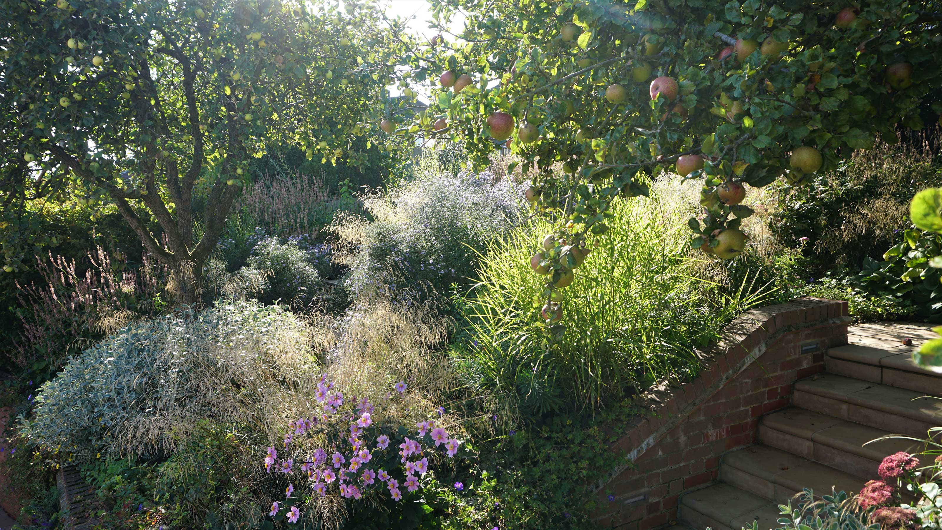 sloping garden ideas: terraced garden with flowerbeds and apple tree designed by Fenton Roberts Garden Design