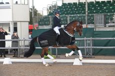 How to watch the National Dressage Championships live national dressage championships sarah higgins