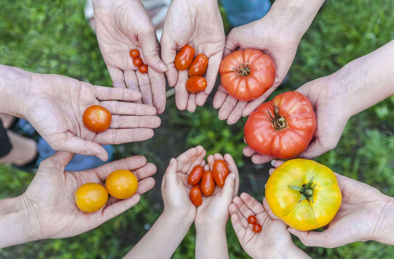 grow your own fruit and veg