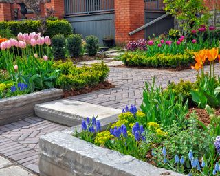 paved front garden with tulips