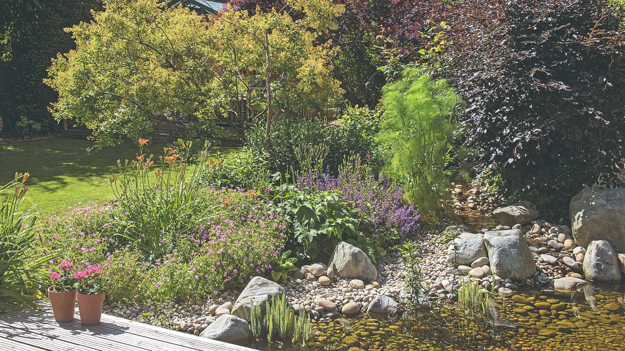 A pond in a garden surrounded by flowering plants