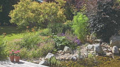 What we wish we knew: lessons for rain garden implementation - EasyBlog