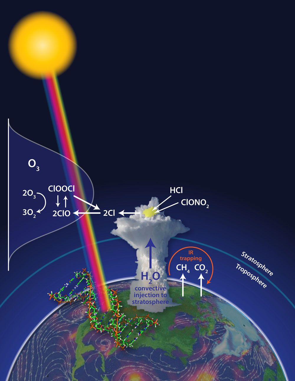 Защитный слой атмосферы. Стратосфера озоновый слой. Разрушение озона в стратосфере. Озоновый экран земли. Озон в атмосфере.