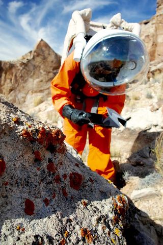 Anu sampling lichens.