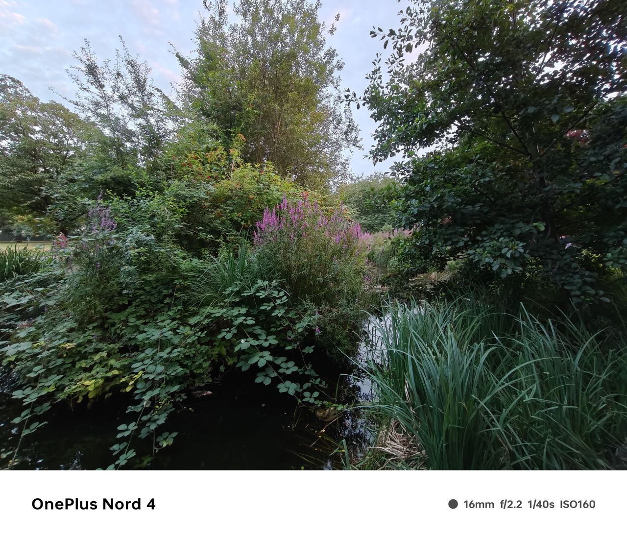 A photo taken on the OnePlus Nord 4