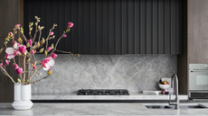 A sleek kitchen space with a cooktop and a undermount sink 