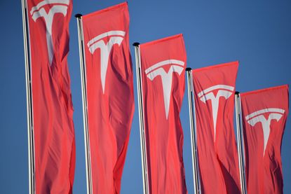 Tesla flags in Amsterdam