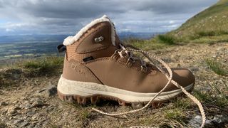 A hiking boot on the trail