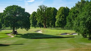 Betchworth Park - Hole 14