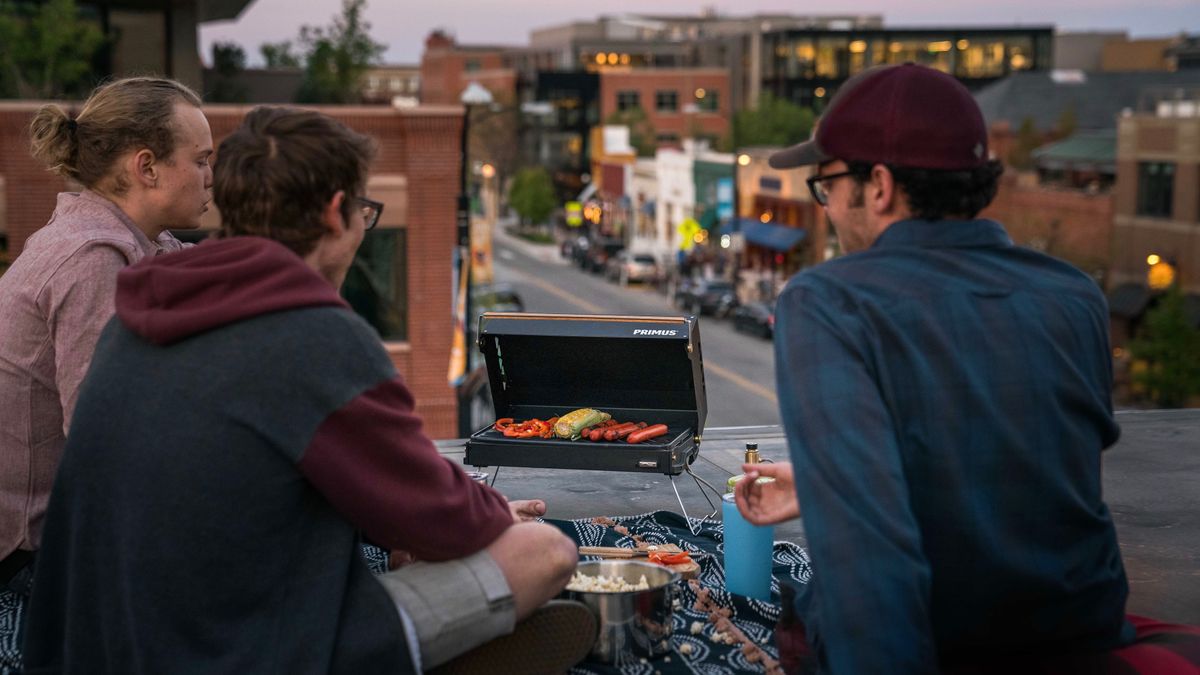 Best small portable barbecue 2021: choose from gas, charcoal or pellets ...