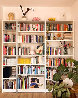White bookshelves with lots of books
