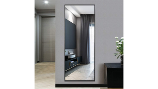 NeuType Full Length Mirror