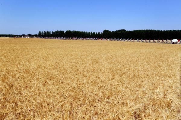 A typical Tour de France landscape on the road to Reims