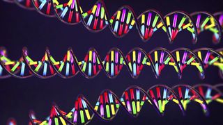 Colorful illustration of three illuminated DNA molecules against a black background