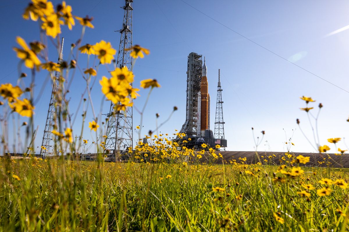 With wildflowers surrounding the view, NASA’s Artemis 1 moon rocket — carried atop the agency&#039;s crawler-transporter 2 – arrives at Launch Pad 39B at the agency’s Kennedy Space Center in Florida on June 6, 2022. 