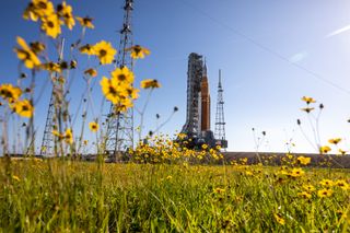 Mit Wildblumen, die die Aussicht umgeben, kommt die Mondrakete Artemis 1 der NASA – die auf dem Raupentransporter 2 der Agentur getragen wird – am 6. Juni 2022 auf der Startrampe 39B im Kennedy Space Center der Agentur in Florida an.