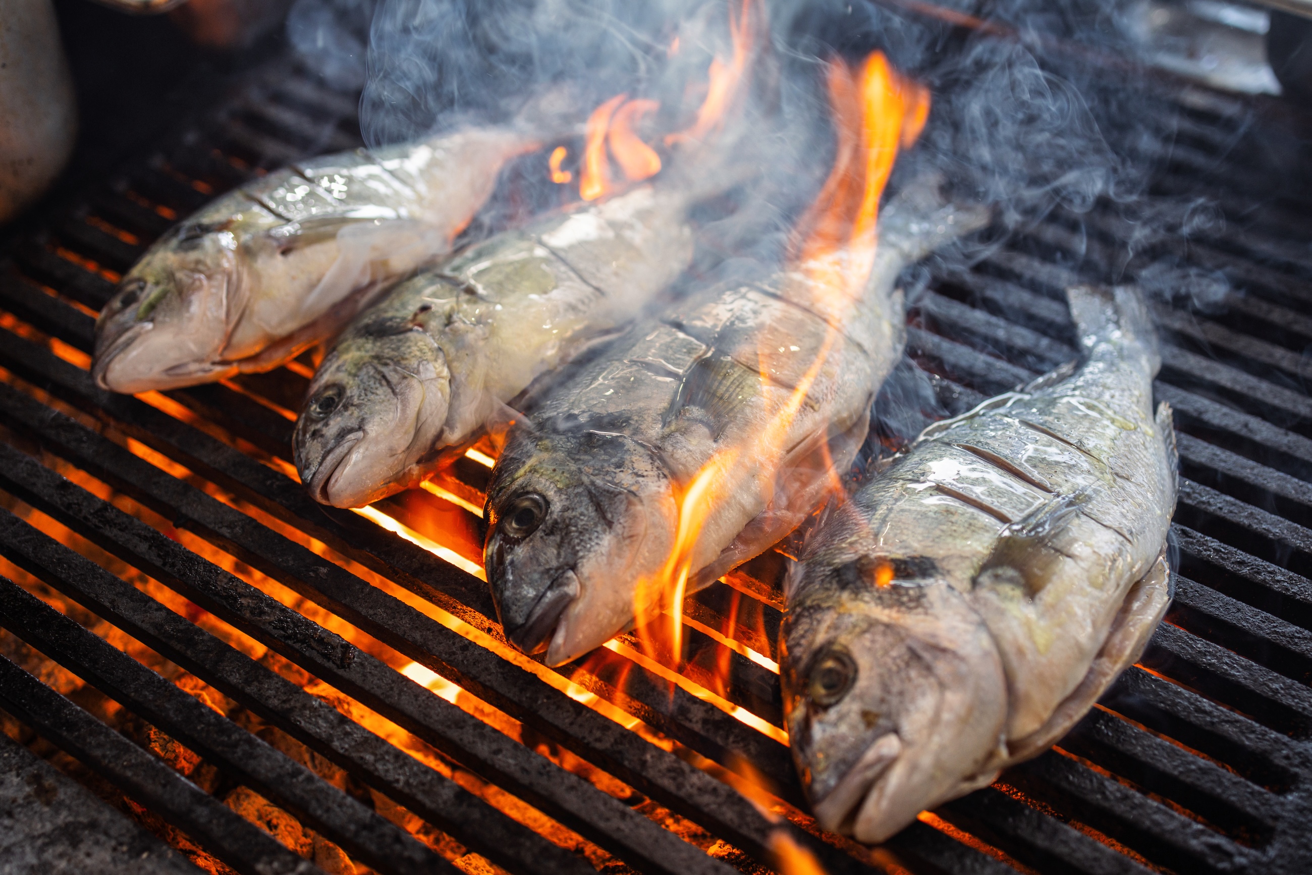 fish on a bbq