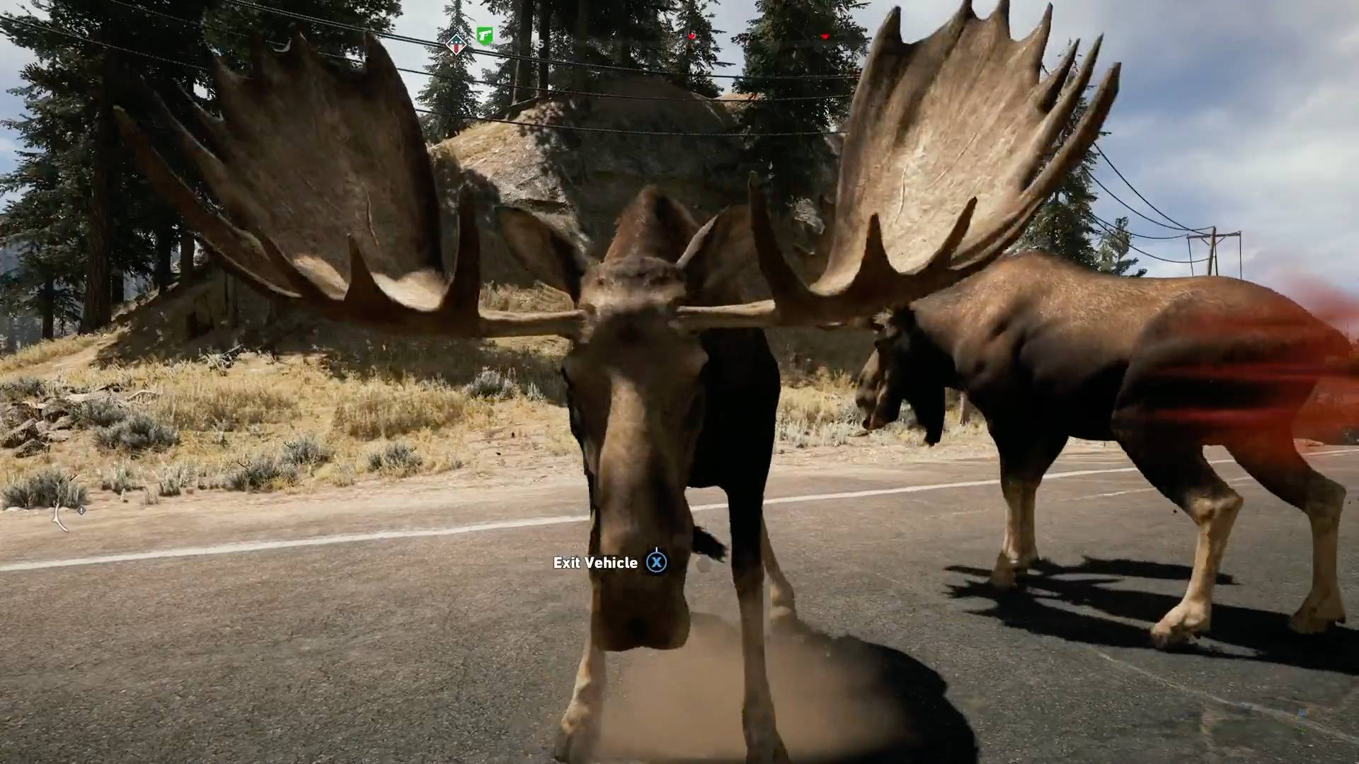 Replay round up 
