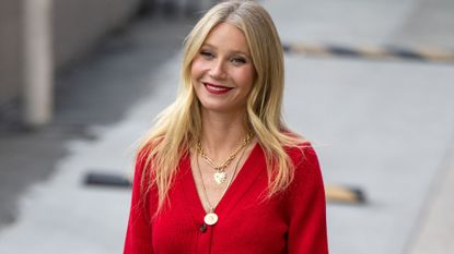 Gwyneth Paltrow, who included one of the best sex chairs in her goop Christmas gift guide