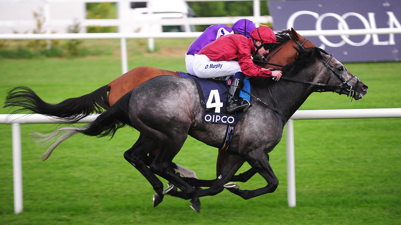 roaring lion