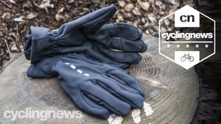 La Passione Deep Winter Gloves 
