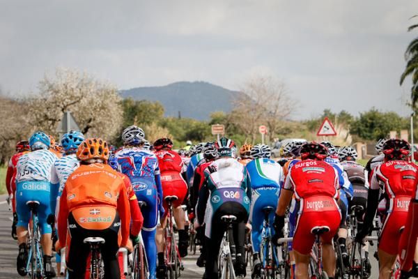 The peloton grouped now and heading towards Puerto de Pollensa's beach.