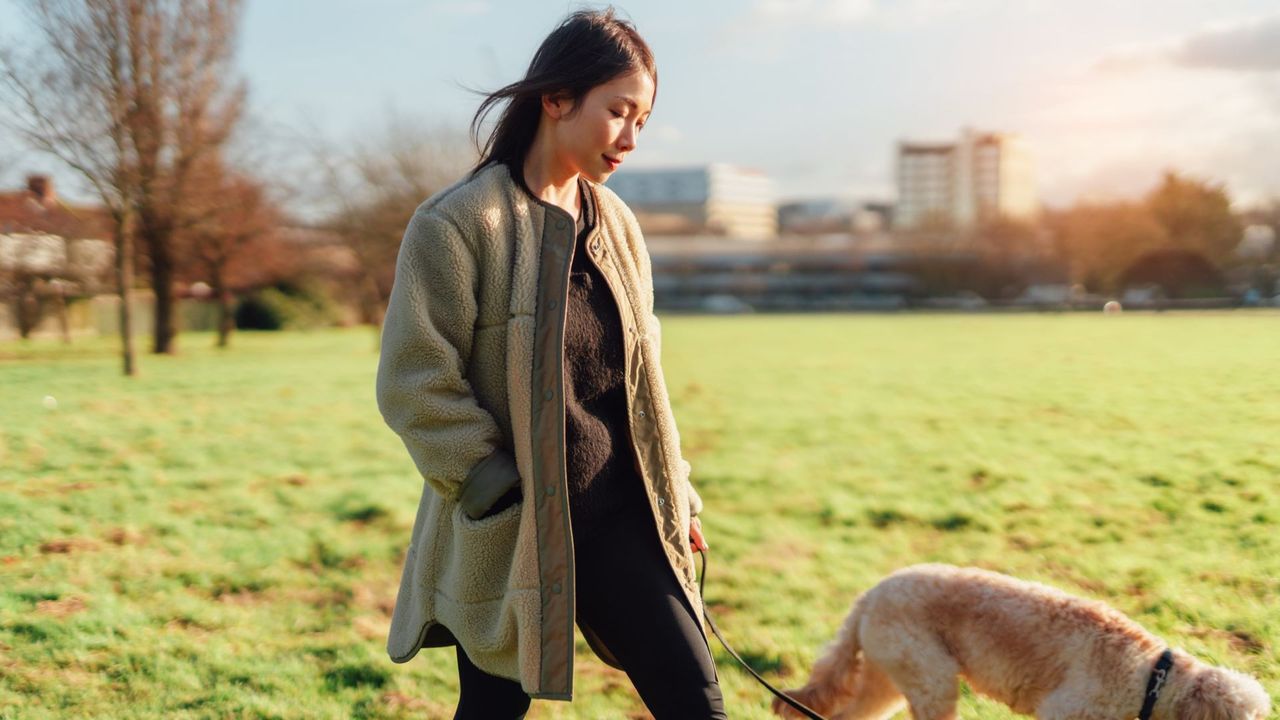 A woman walks her dog through a city park. The woman has black hair and wears a long coat. The dog is white and orange. The city skyline is visible in the background