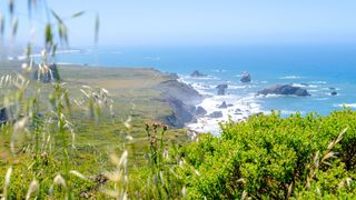 The California coastline as seen from Sonoma State Park.