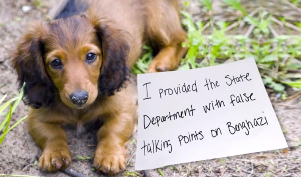 Seth Meyers tackles the niche genre of dog-shaming