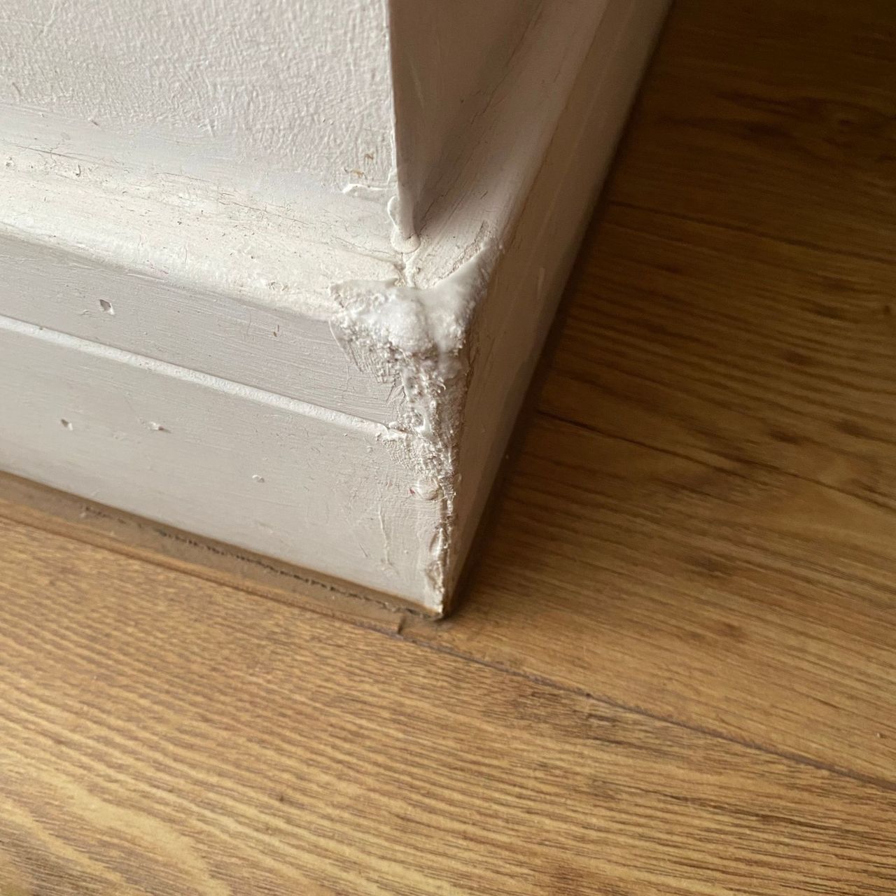Wood filler applied to chewed skirting boards