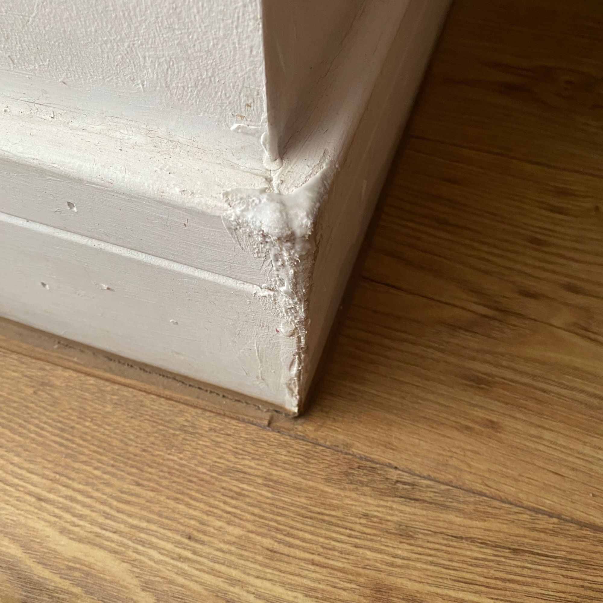 Wood filler applied to chewed skirting boards