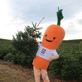 A carrot mascot wearing an Aldi t-shirt holding up a Christmas tree in a field full of Christmas trees.