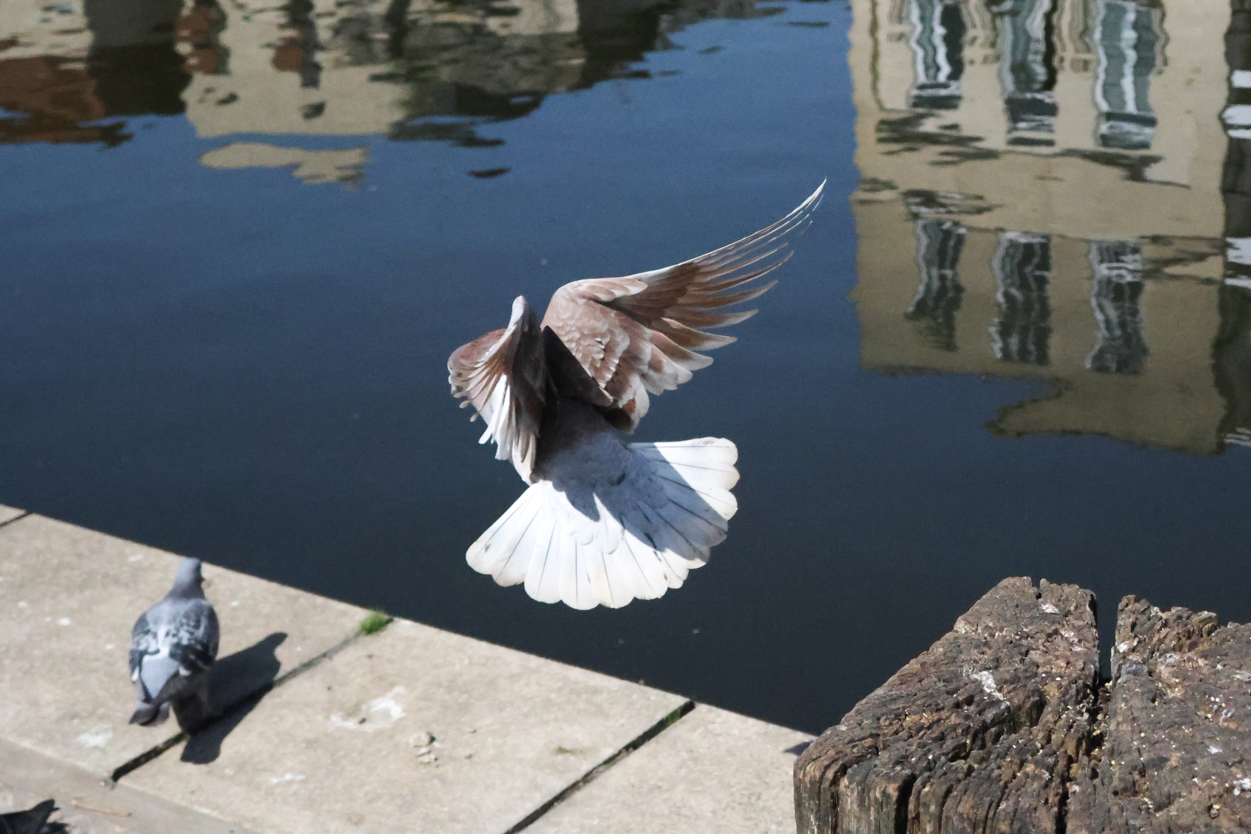 A photo taken on a Canon PowerShot V1 compact vlogging camera