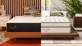 In this affordable vs luxury mattress comparison piece, the Cocoon by Sealy is shown on the left of the image and the Saatva Classic is seen on the right