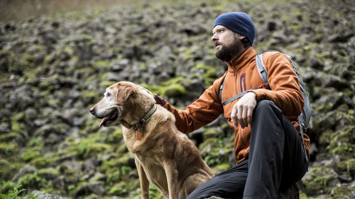 hiking with a dog