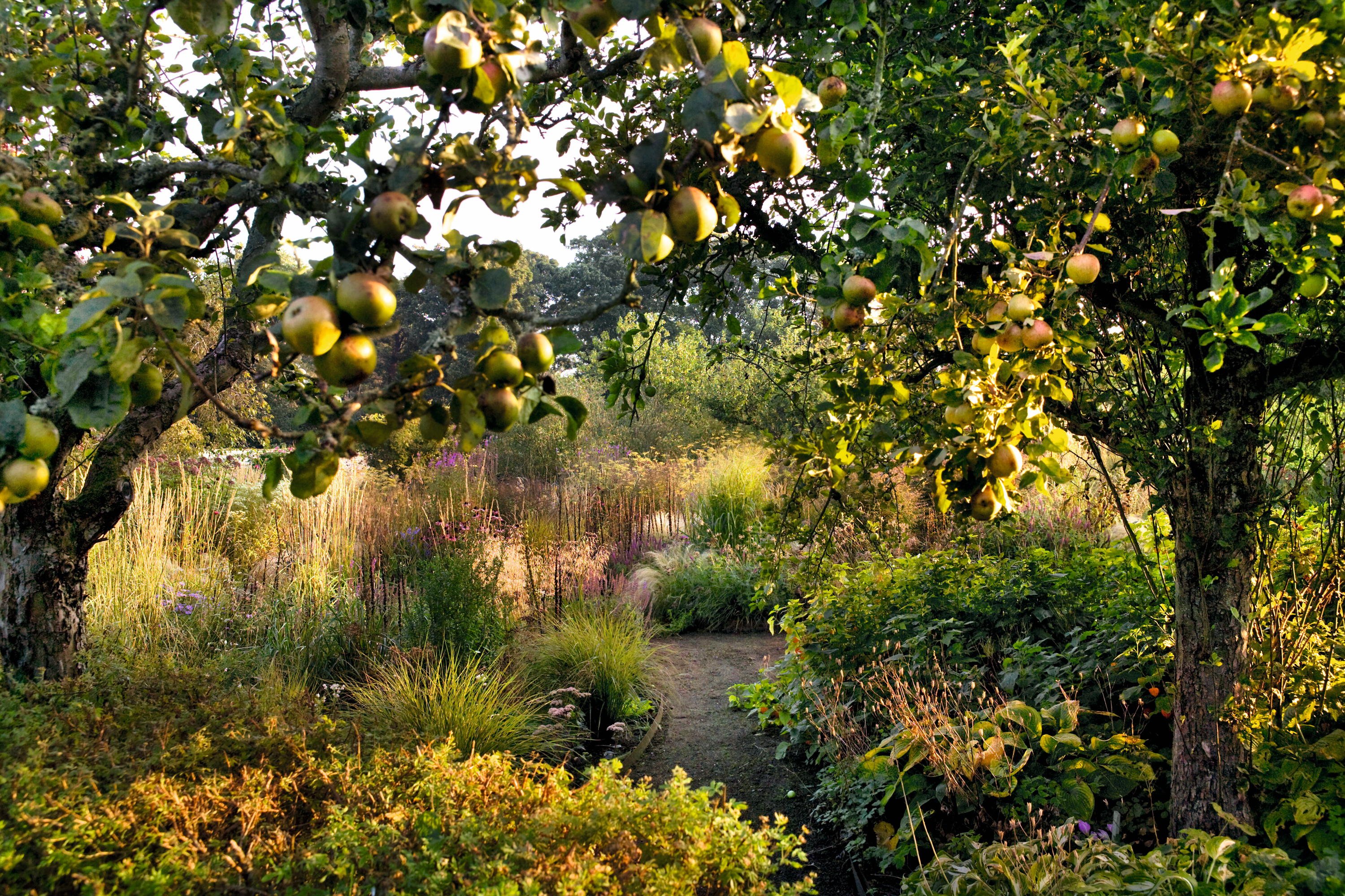 The Early Flowering Borders at Cambo Walled Garden in Fife.