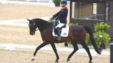 How to watch the World Para Dressage Championships