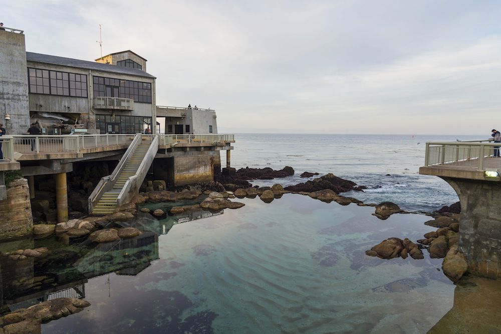 ONE TIME USE photo of the Monterey Bay Aquarium