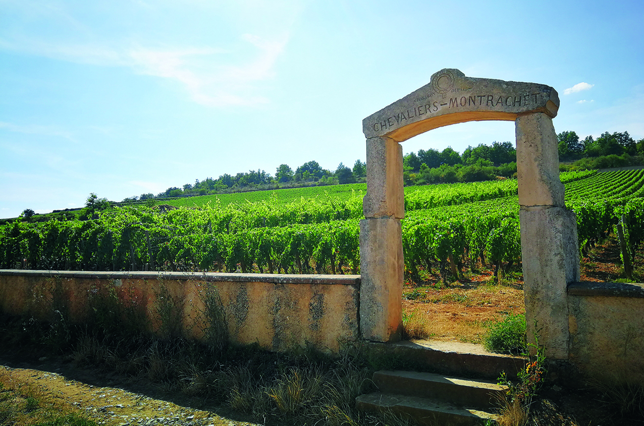 Entrance to Chevalier-Montrachet vineyard