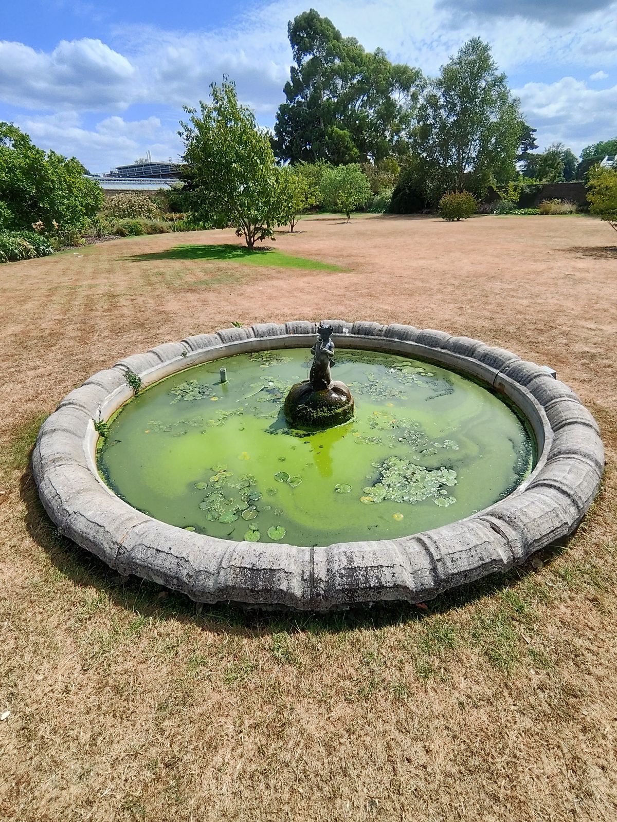 Sample image taken at Kew Gardens using the Rokid AI Glasses Style