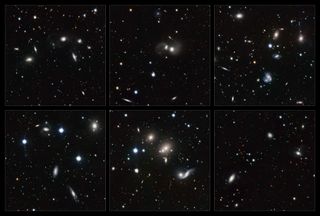 These highlights of the young Hercules galaxy cluster show a wide variety of interacting galaxies. The numerous interactions, and the large number of gas-rich, star-forming spiral galaxies in the cluster, make the members of the Hercules cluster look like the young galaxies of the more distant universe.