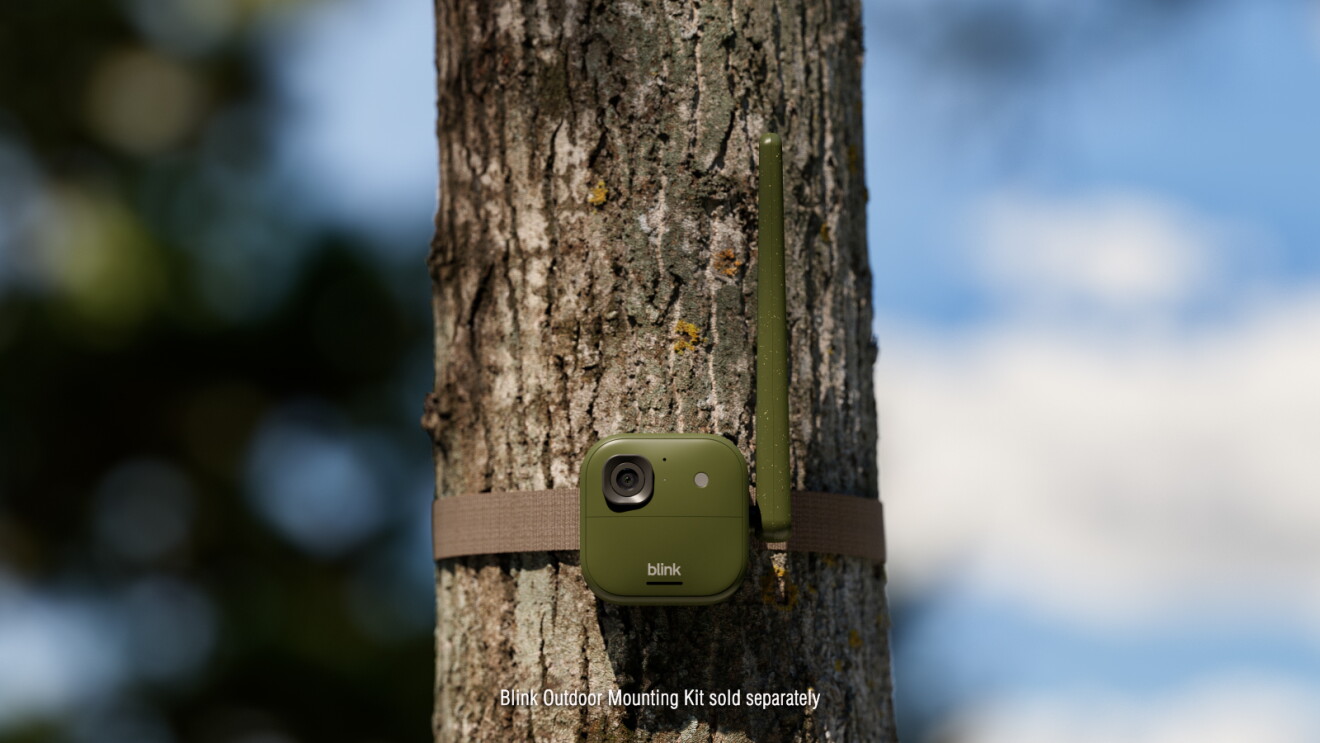 A Blink camera strapped to a tree
