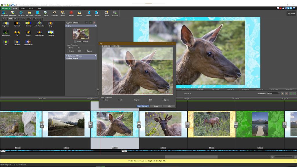 Best Photo Slideshow Software 2021 Top Ten Reviews