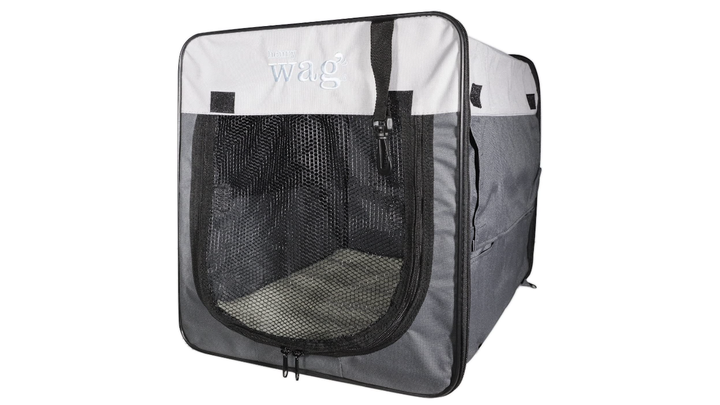 Empty dog carrier