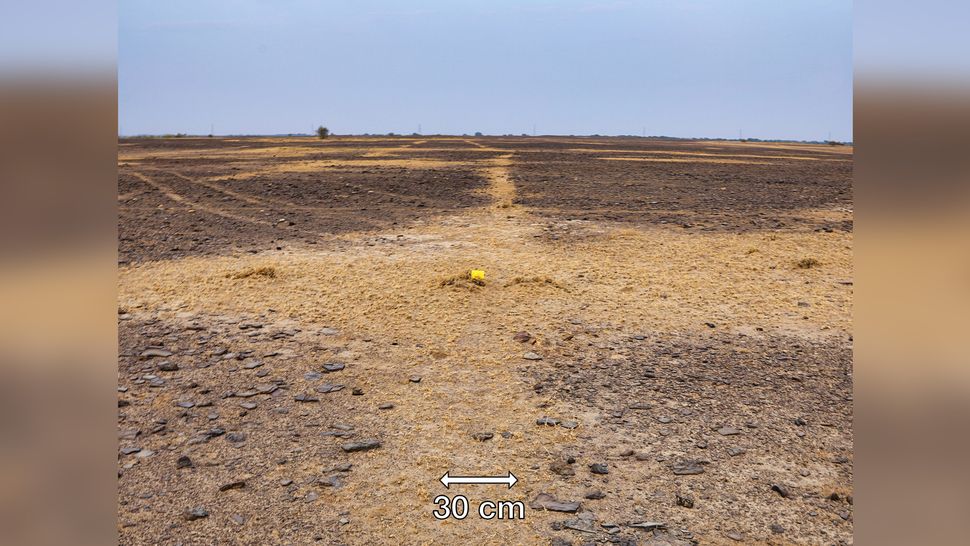 https://www.livescience.com/largest-geoglyphs-discovered-india.html