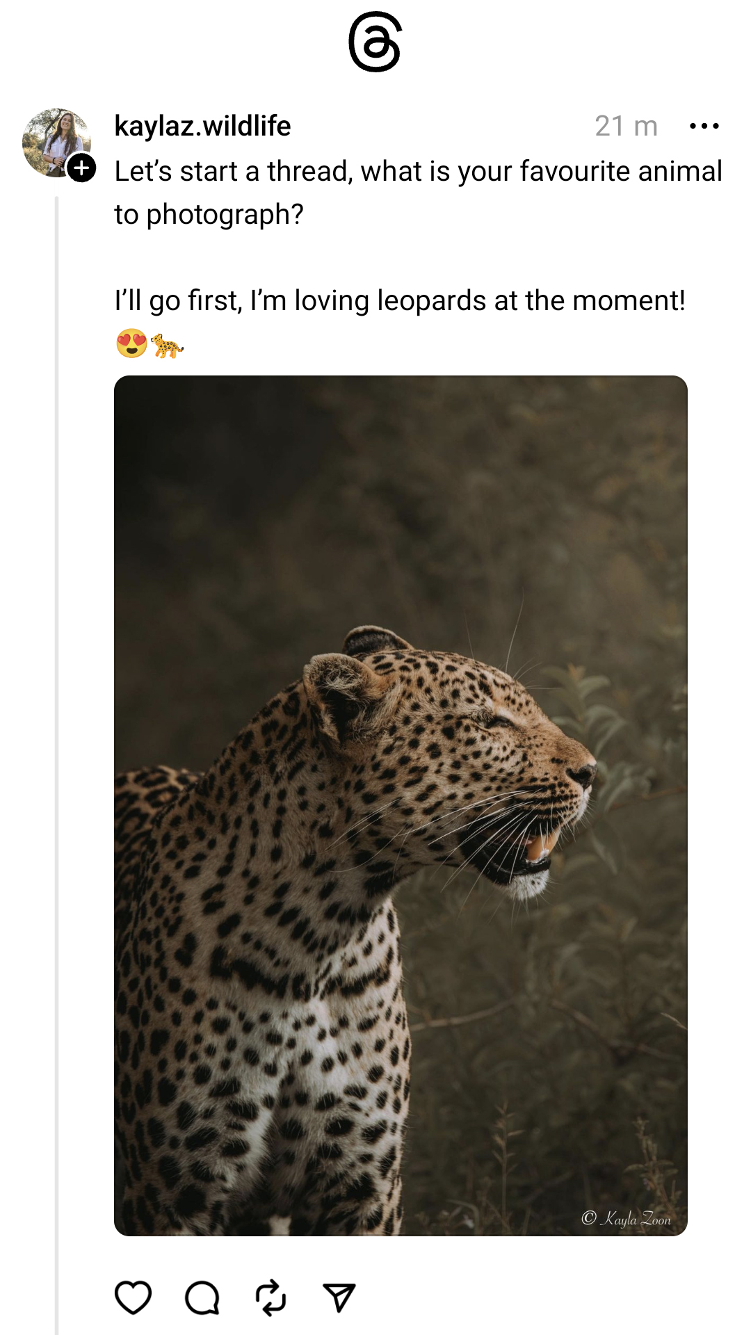 Threads app UI showing a photographer starting a Thread with their favorite wildlife photo