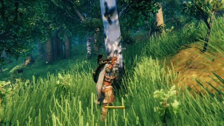 valheim guides