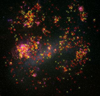 Yellow and Red Supergiants in Two Neighboring Galaxies