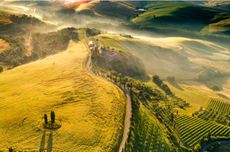 What is a Super Tuscan?