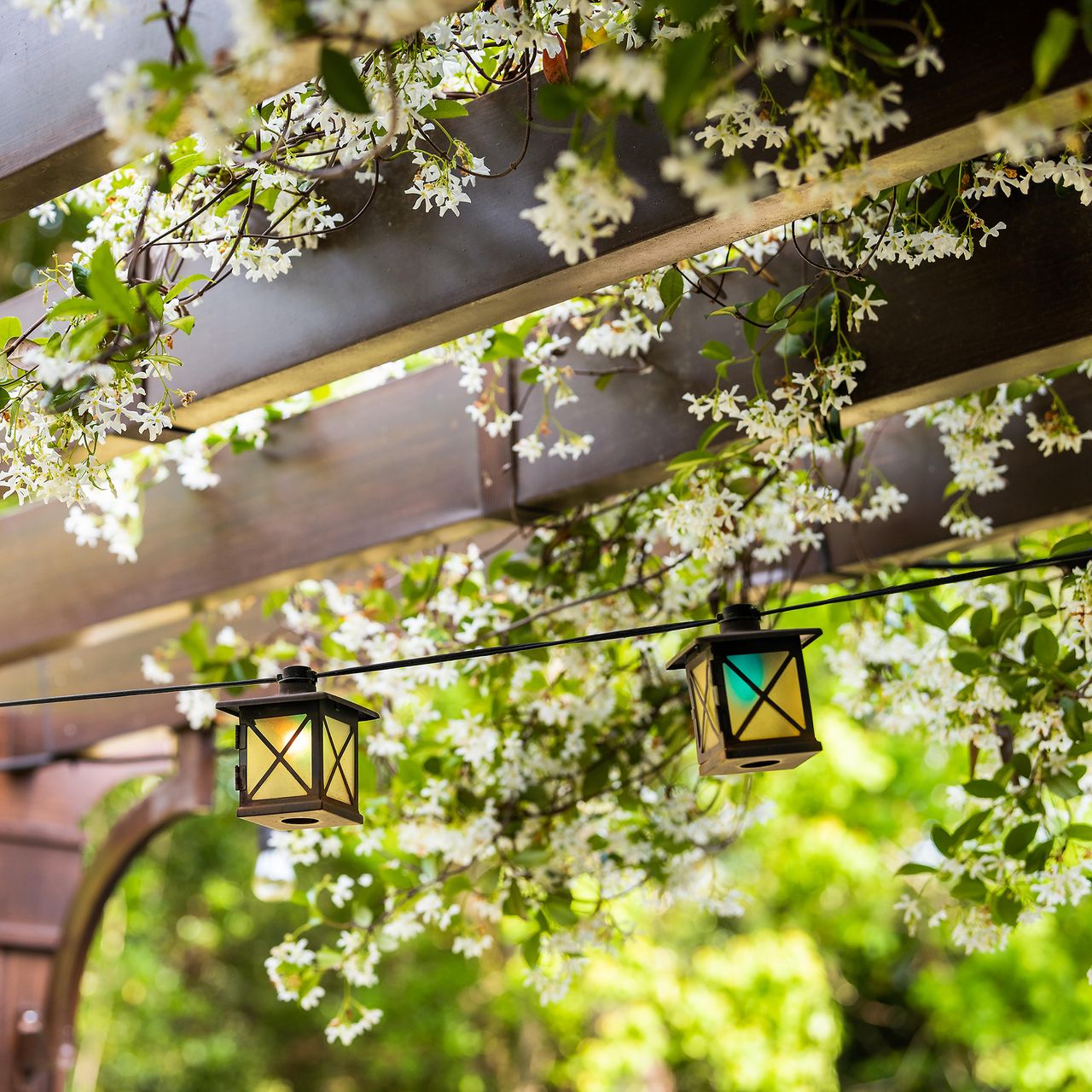 Outdoor tree light ideas 10 ways to illuminate your garden Ideal Home